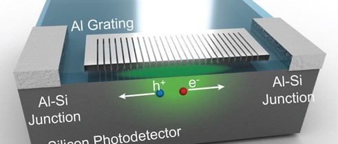 Biomimetische fotodetector 'ziet' in kleur