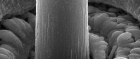 Onderzoek kan tot betere Li-ion batterijen leiden