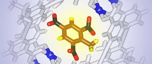 Nanosensoren sporen TNT op