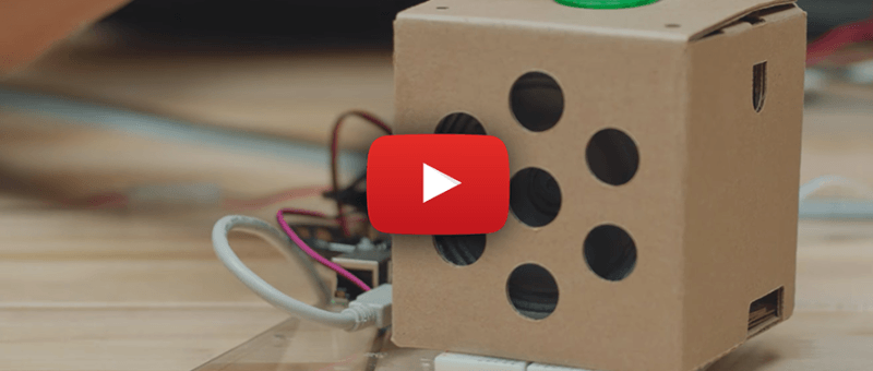 Google AI Voice Kit: Big Brother in een kartonnen doosje