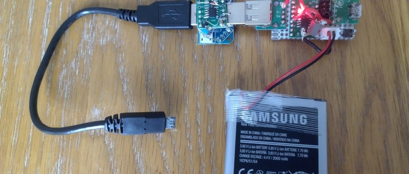 Custom power bank