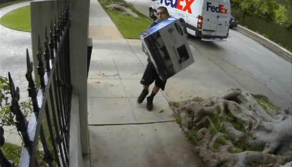 Special delivery from FedEx! Very special!