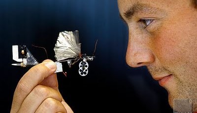 DelFly, the Autonomous Robot Dragonfly
