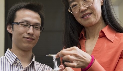 Gummy Electrolyte may make Safer Lithium Ion Batteries