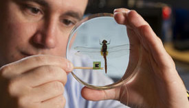 Remote Data Collection System Strapped To a Dragonfly