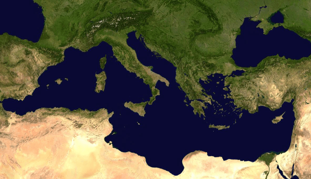 Euro-Mediterranean Energy Cooperation and the Newly Established Platform for Gas