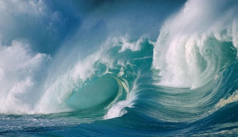 Loopwing Yields Energy From Ocean