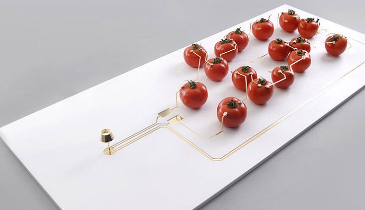 Tomato Powered LED