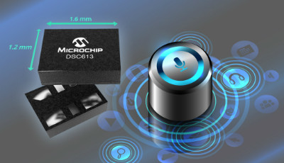 Image: Microchip