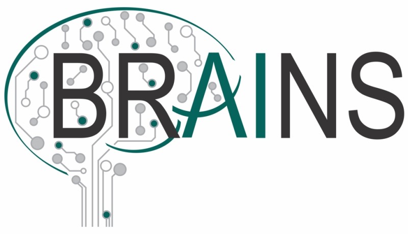 BRAINS Center: Brain Inspires Nanotechnology