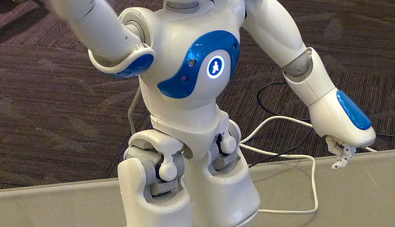 Ethic robots may pose an additional risk to their environment. Photo credit: Anonimski