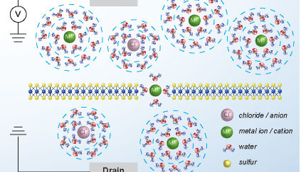 Cellular Biology: Electrons & Ions - same difference © lben.epfl.ch
