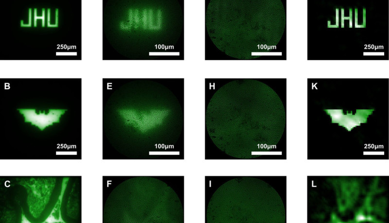 A - C: images of a normal microscope; D - F: conventional lens-based microendoscope; G - I: raw images of the new lensless microendoscope; J - L: after computational reconstruction. Image: Mark Foster, John Hopkins University.