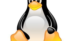 Jetzt Teilnahme sichern: 3-tägiges Embedded Linux-Seminar am 02.-04.12. in Zürich