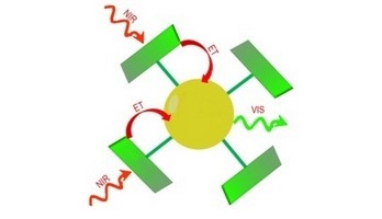 Antennenmoleküle verstärken IR-Licht