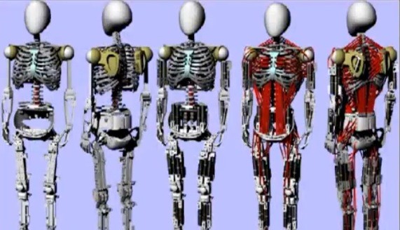 Kenshiro: Roboter mit Muskeln und Skelett