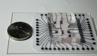 Das „Labor-auf-einem-Chip“ besteht aus einem preisgünstigen transparenten Silkonträger und einem gedruckten Elektronik-Streifen.