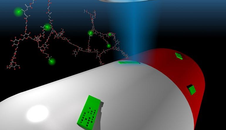 Das biologisch abbaubare Etikett ist mit bloßem Auge nicht erkennbar (Bild: Universität Utrecht / TU Delft).