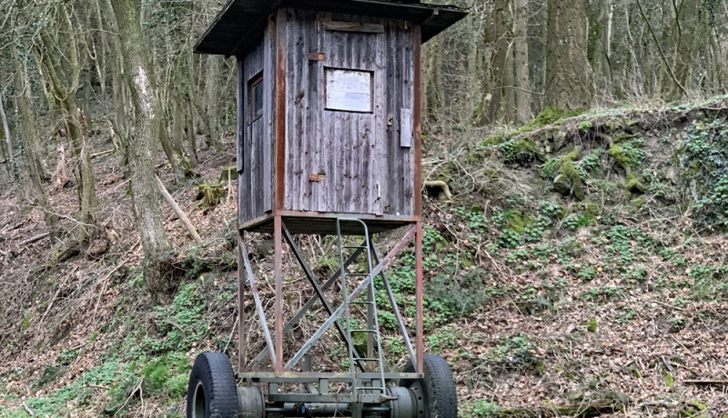 Erlkönig des selbstbalancierenden Hochsitzes. Bild: Thomas Scherer