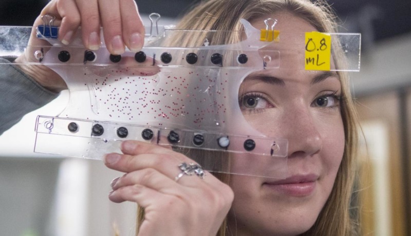 Ein Beispiel für weiches Robotermaterial aka „Gummimuskel“. Foto von Glenn Asakawa / University of Colorado Boulder