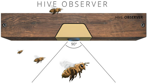 Beela Hive Observer