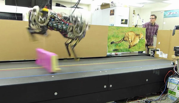 Geparden-Roboter können springen