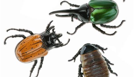 Vrais insectes ou faux robots ?