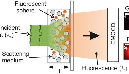 Mesure par microscopie de fluorescence de la densité énergétique d’une lame de matériau dispersif constitué de particules de ZnO.