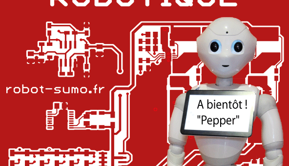 Tournoi national de robotique à Nîmes, du 17 au 19 mai 2019 (stade des Costières)