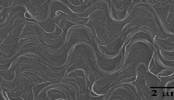 Elastische elektrische geleiders