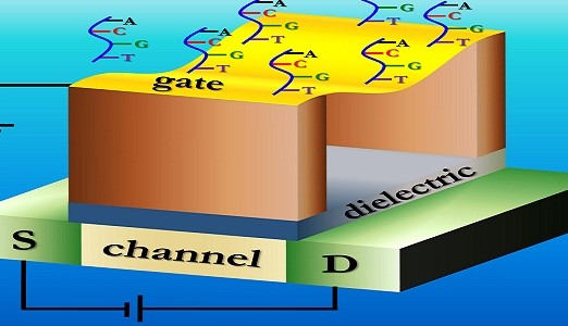 Ultragevoelige biosensor