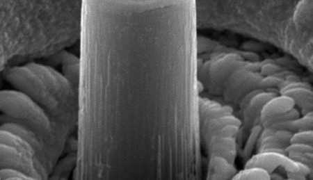 Lithium-'zuil' op micrometerschaal (foto: Julia R. Greer)