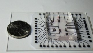 Het lab-op-een-chip bestaat uit een transparante houder en een geprinte elektronische strip (foto: Zahra Koochak).