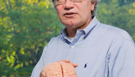Voelen en bewegen via implantaat in de hersenen