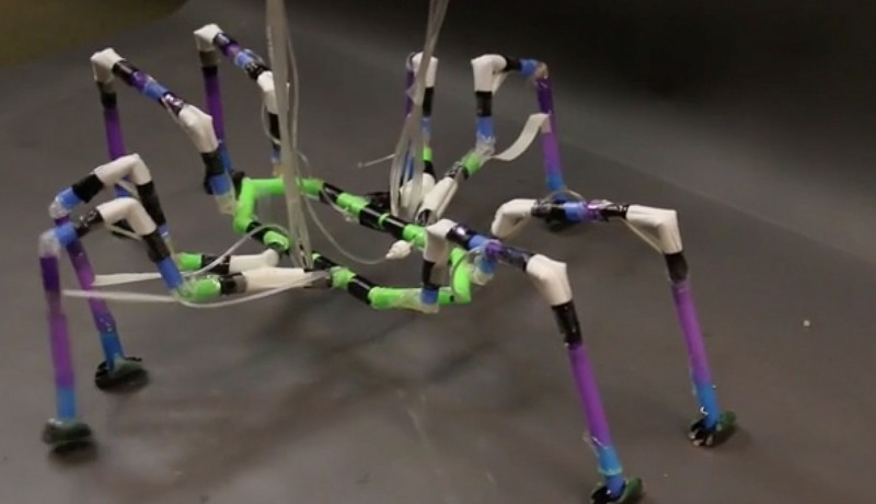 Met insecten en spinnen als voorbeeld hebben Whitesides en Nemiroski met behulp van rietjes robots geconstrueerd die zich kunnen voortbewegen (foto: Joe Sherman / Whiteside Group).