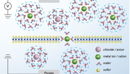 Coulomb-blokkade geldt ook voor ionen © lben.epfl.ch