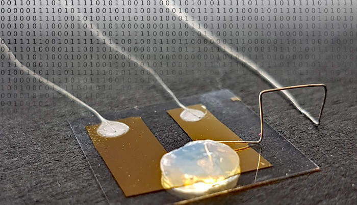 Eén-atoom-transistor in gel-elektrolyt. Afbeelding: AG Thomas Schimmel / KIT