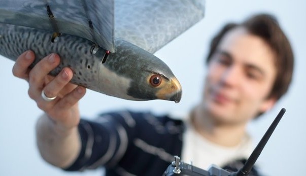 Autonome Robird stap dichterbij