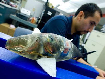 L'industrie c'est fou] Ce robot-poisson se déplace en autonomie grâce à un  capteur