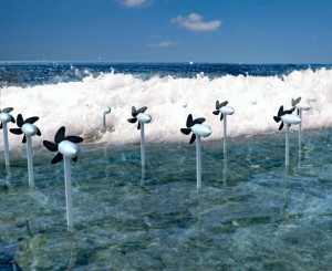 Sea power. Image courtesy OIST Graduate University