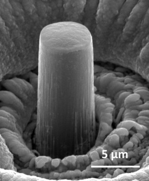 Lithium-'zuil' op micrometerschaal (foto: Julia R. Greer)