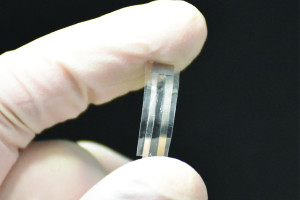 Biologisch afbreekbare druksensor lost op als hij zijn werk heeft gedaan