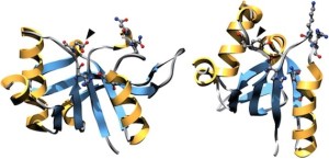 Gamers Solve Problem That Riddled Scientists For 15 Years