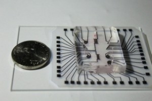 Das „Labor-auf-einem-Chip“ besteht aus einem preisgünstigen transparenten Silkonträger und einem gedruckten Elektronik-Streifen.