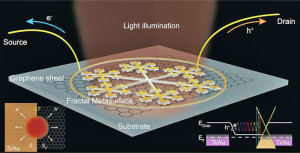 Fraktale Graphen-Metastruktur. Bild: Jieran Fang, American Chemical Society