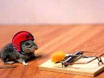 mousehelm..jpg