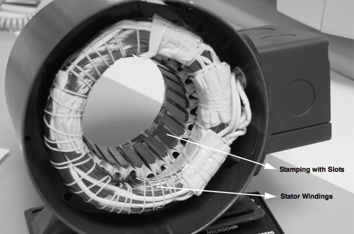 Microchip BLDC motor Microchip BLDC motor
