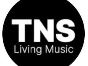 Thenewsound
