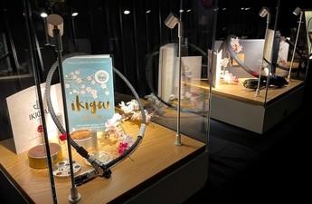 DAE2025: Very Fine Solutions en Ikigai Audio