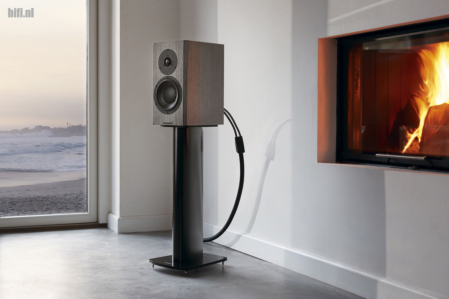 Review Dynaudio Special Forty